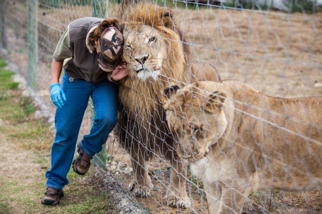 shutterstock_135630632