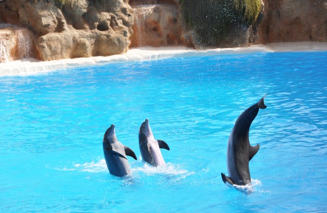 shutterstock_212208472