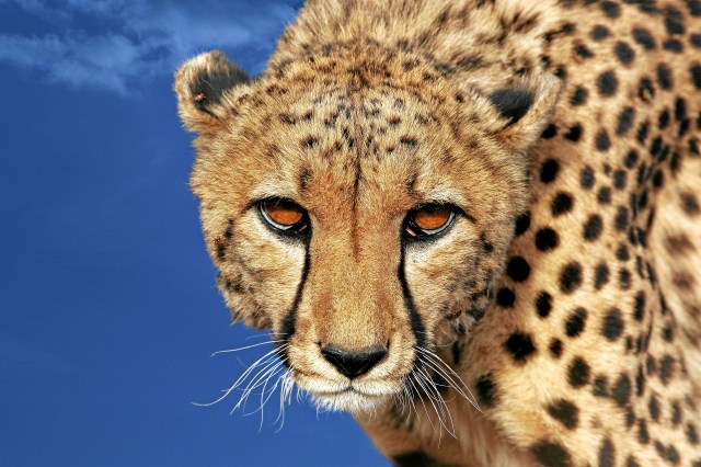 shutterstock_158148365