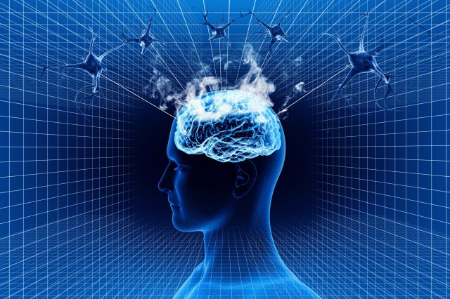 shutterstock_162346040