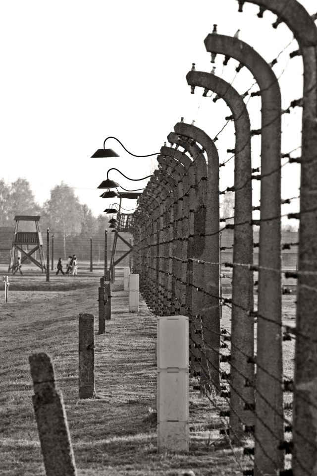 shutterstock_126669110