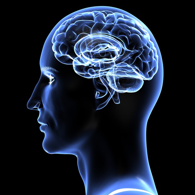 shutterstock_138869201